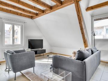 Modern 1 Bedroom Furnished Apartment in Oerlikon, Zurich Amsterdam Apartments for Rent