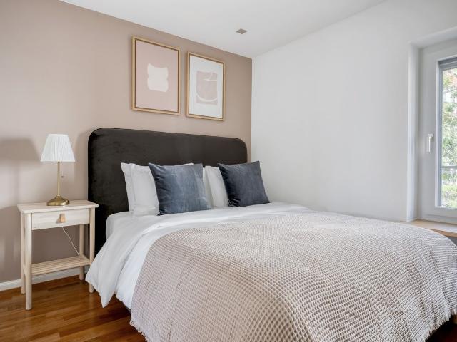 Modern 1 Bedroom Furnished Apartment in Unterstrass, Zurich Amsterdam Apartments for Rent