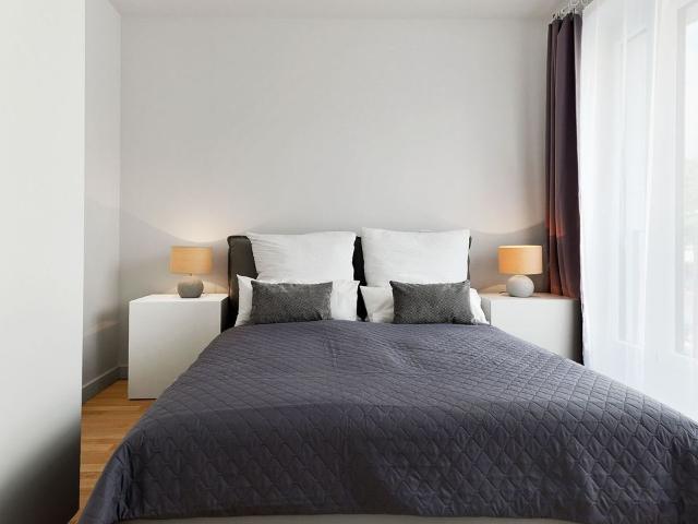 Modern 1 bedroom flat at Krausenstraße 4.1.6. 6328, Berlin Amsterdam Apartments for Rent
