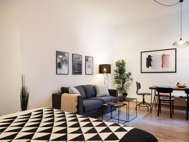 Modern 1 Room Apartment with King Size Bed in Prenzlauer Berg