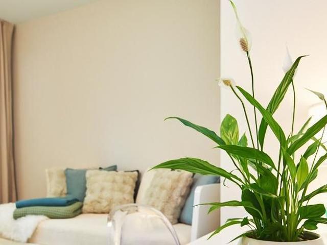 Modern 1 room apartment with terrace in Hamburg Bahrenfeld
