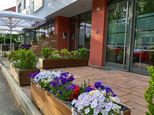Modern 2,5 room city apartment in Dresden Striesen, Dresden Amsterdam Apartments for Rent
