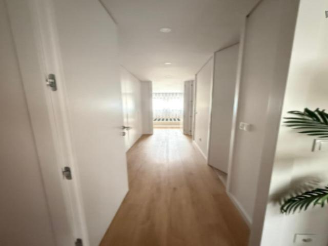 Modern 2 Bedroom Apartment close to University of Minho