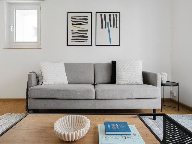Modern 2 Bedroom Furnished Apartment in Allschwil, Allschwil Amsterdam Apartments for Rent