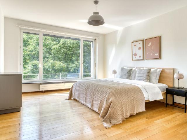 Modern 2 Bedroom Furnished Apartment in Basel Vorstaedte, Basel Amsterdam Apartments for Rent