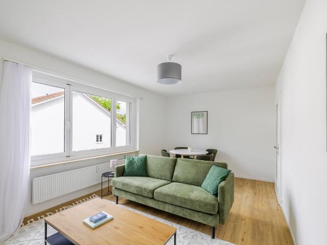Modern 2 Bedroom Furnished Apartment in Basel Vorstaedte, Basel Amsterdam Apartments for Rent