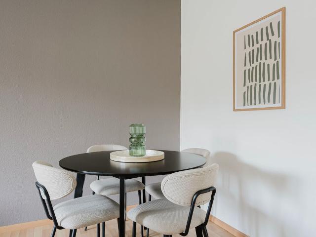 Modern 2 Bedroom Furnished Apartment in Breite, Basel Amsterdam Apartments for Rent