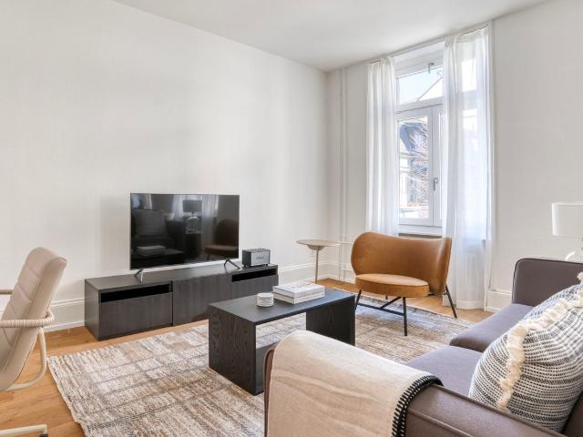 Modern 2 Bedroom Furnished Apartment in Gundeldingen, Basel Amsterdam Apartments for Rent