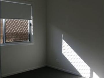 Tuggerah Lake, Jilliby, Wyong Region, Snapper Island