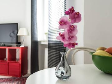 Modern 2 room flat perfect for home office, Dusseldorf Amsterdam Apartments for Rent