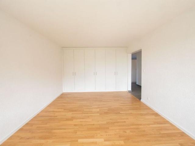 modern 4.5 room apartment for rent