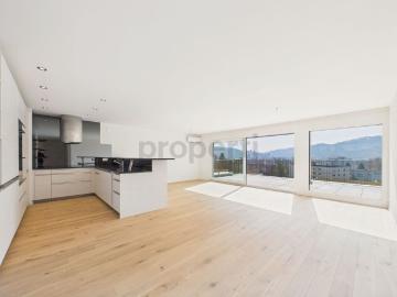 Modern 4.5 room apartment with sunny terraces in Winterthur