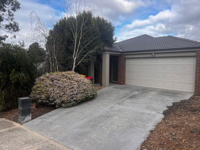 Modern 4 bedroom family home