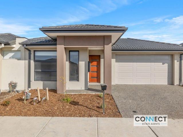 Modern 4 Bedroom Home in Vibrant Bloom Estate Perfect for Family Living!