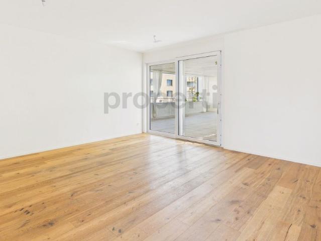 Modern 5.5 room apartment with balcony, Emmen