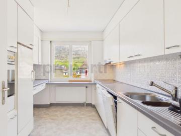 Grünernstrasse, Langendorf, Bezirk Lebern, Amtei Solothurn-Lebern, Kanton Solothurn