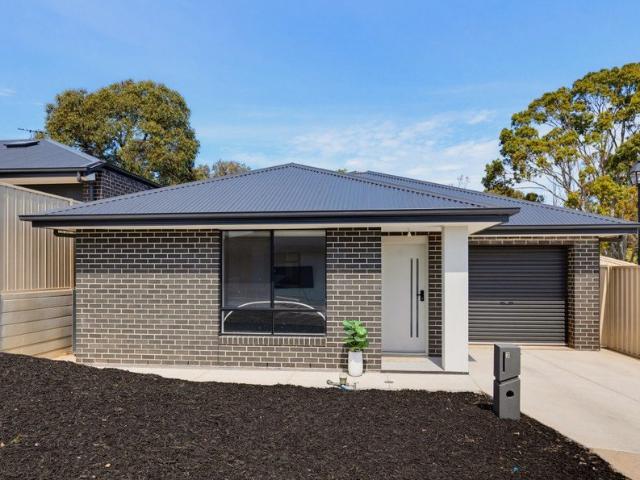 Modern Courtyard Living with Stylish Contemporary Finishes