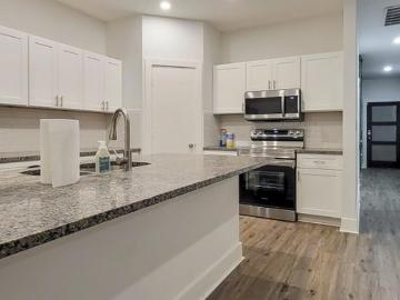 Dallas TX, Dallas County, Texas, Texas, USA