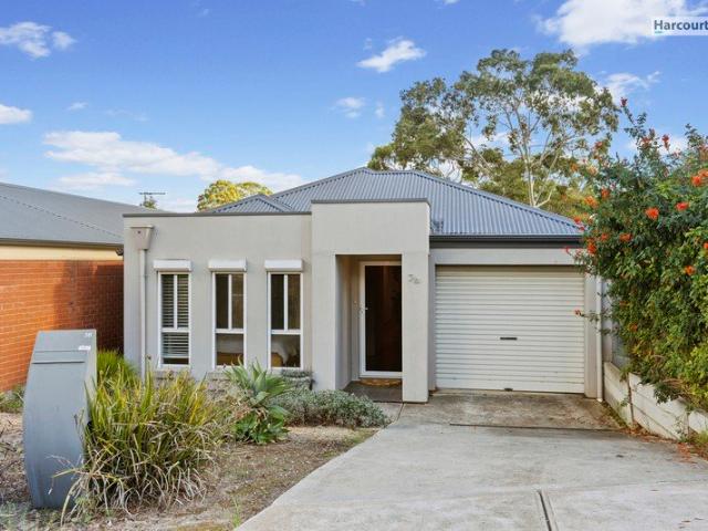 Modern Comfort, Effortless Living