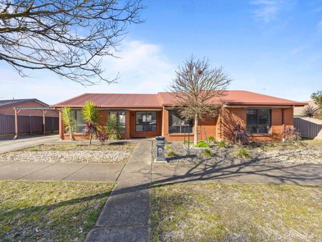 Modern Comfort Meets Prime Alfredton Living