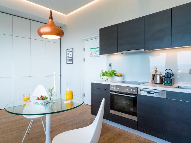 Modern condominium surrounded by Vienna's variety of delights and with excellent transport infrastructure, Vienna Amsterdam Apartments for Rent
