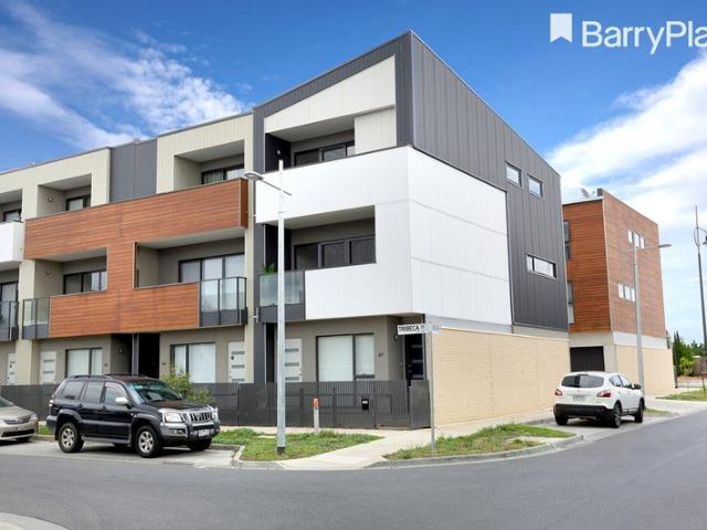 Modern & Contemporary Low Maintenance Living
