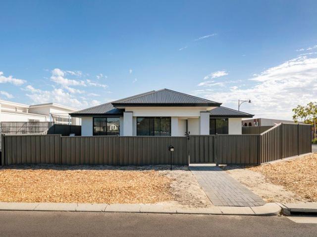 Modern Corner Gem Opposite Nature Reserve