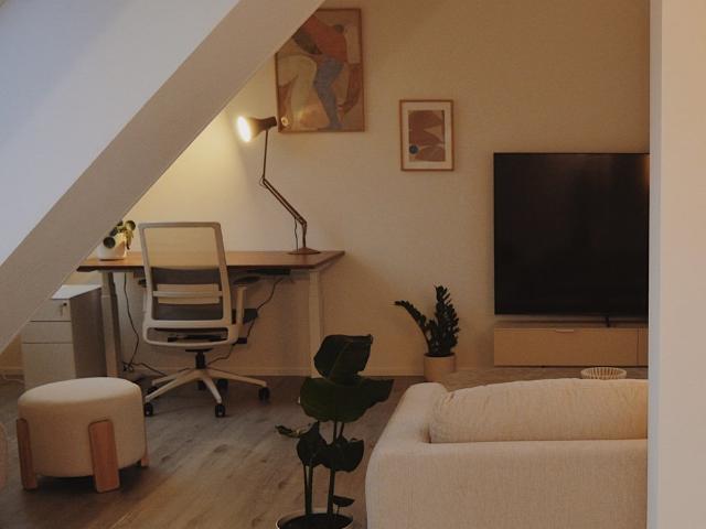 Modern Chic Apartment with Health Concept, Home