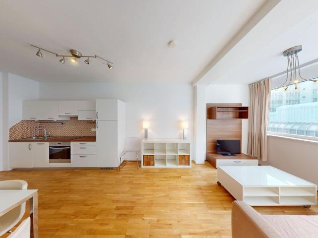 MODERN CITY APARTMENT IN A PRIME LOCATION AT KARLSPLATZ, Vienna Amsterdam Apartments for Rent