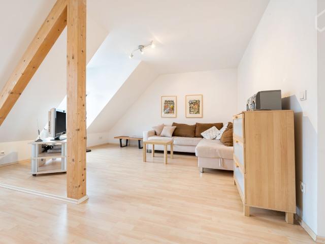 Modern & cute suite in Düsseldorf Inner City, Dusseldorf Amsterdam Apartments for Rent