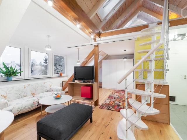 Modern, amazing suite in München, Munchen Amsterdam Apartments for Rent