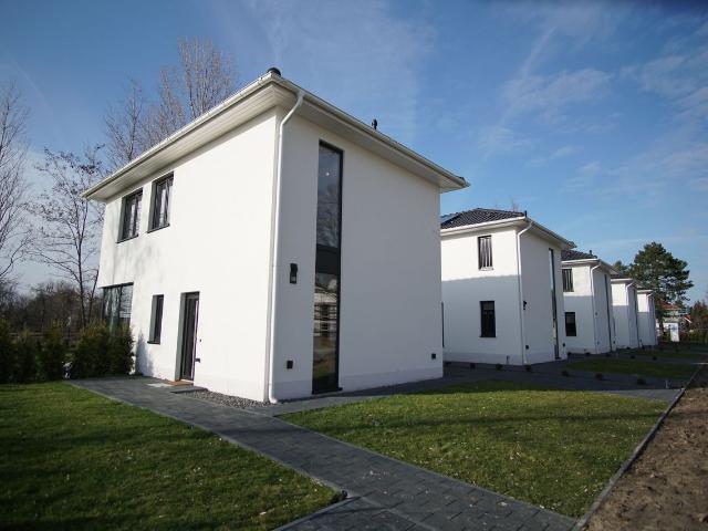 Modern and cute studio in popular area, Berlin Amsterdam Apartments for Rent