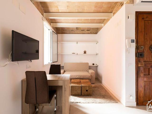 Modern and Cosy One Bedroom Apartment next to Barceloneta Beach