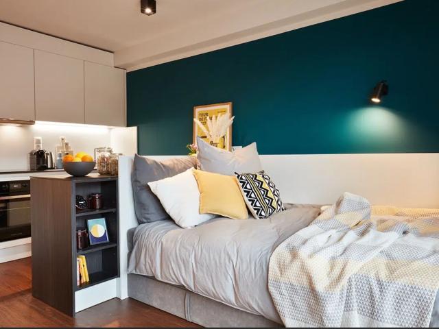 Modern and cozy apartment for rent