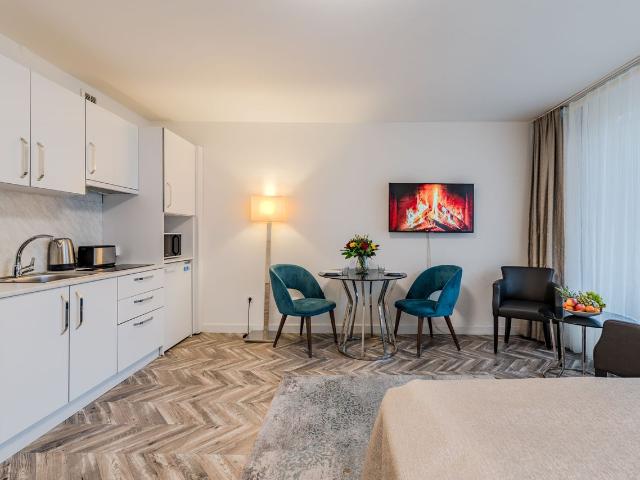 Modern and cozy studio apartment in Prenzlauer Berg, Berlin Amsterdam Apartments for Rent