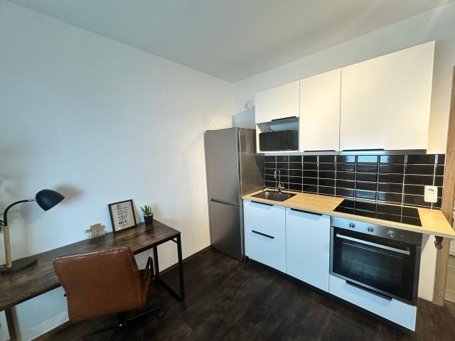 Modern and Fully Equipped Studio Apartment with Kitchen, Workspace, and Washing Machine, Frankfurt Amsterdam Apartments for Rent