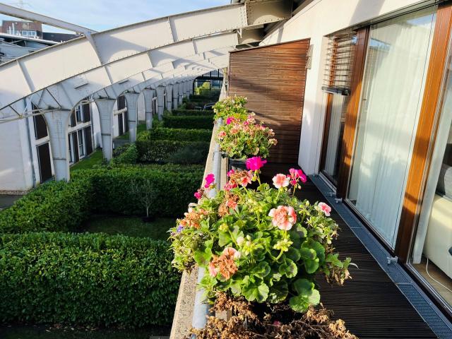 Modern and furnished apartment with a south facing balcony Dusseldorf Amsterdam Apartments for Rent