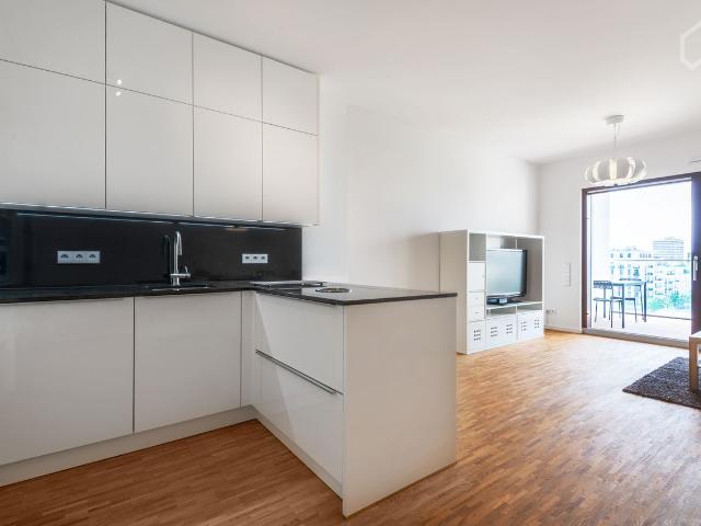 Modern and perfect apartment in Frankfurt am Main, Frankfurt Amsterdam Apartments for Rent