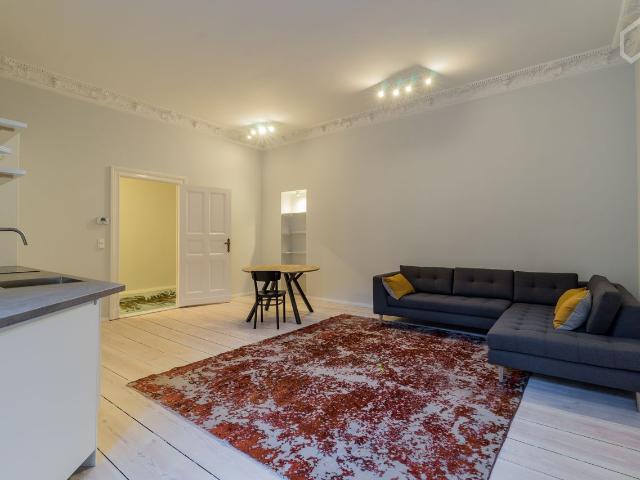 Modern and perfect apartment in Prenzlauer Berg, Berlin, Berlin Amsterdam Apartments for Rent