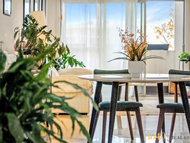 Modern and Spacious