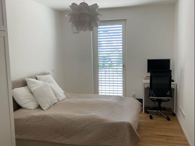 Modern Apartment near Wiesbaden Hbf, Wiesbaden Amsterdam Apartments for Rent