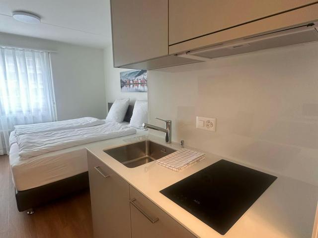 Modern Apartment Near Zurich Airport – Fully Furnished & Well Connected, Kloten Amsterdam Apartments for Rent