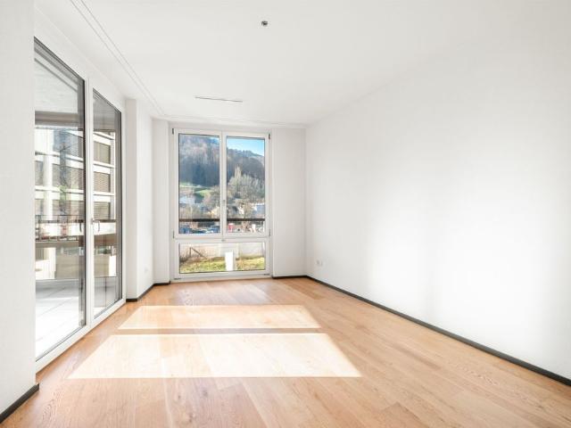 Modern apartment on the outskirts of Zurich