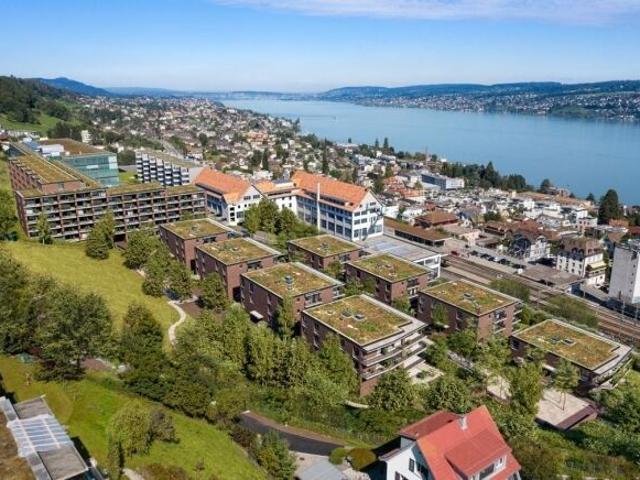 Modern apartment for rent in Horgen