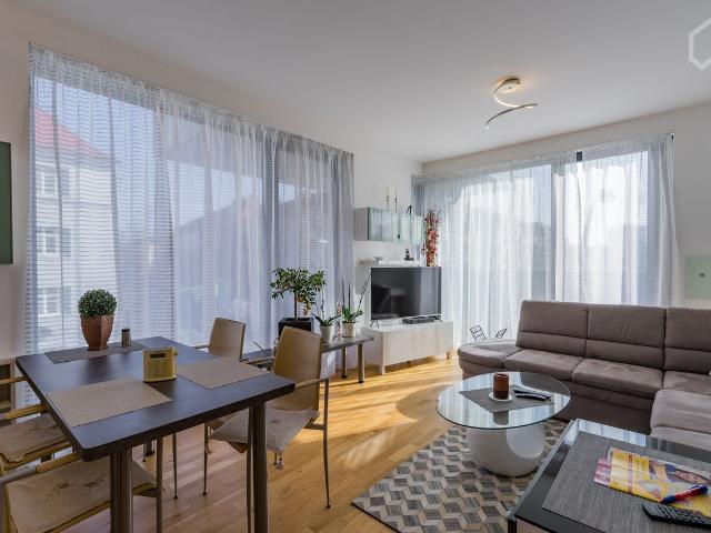 Modern apartment in a convenient location, Berlin Amsterdam Apartments for Rent