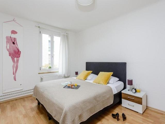 Modern Apartment in Basel – Fully Furnished & Well Connected, Basel Amsterdam Apartments for Rent