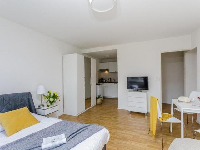 Modern Apartment in Basel with Contactless Self Check In, Basel Amsterdam Apartments for Rent