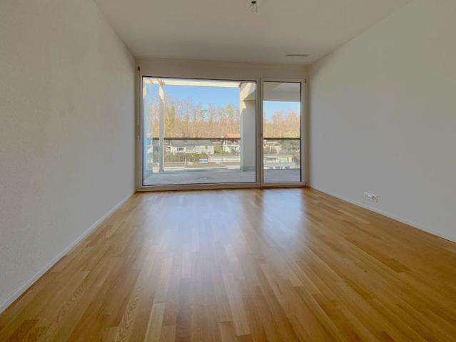 Modern apartment in best location in Uster