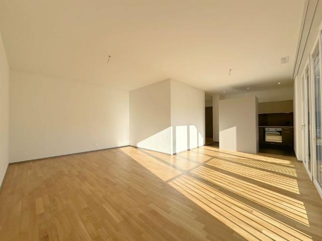 Modern apartment in the city of Zurich