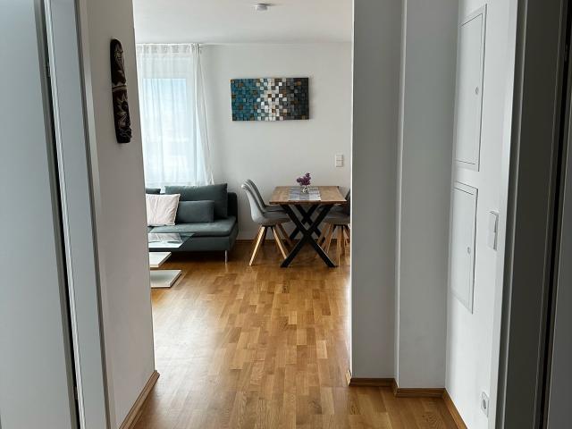Modern apartment in Vienna near the VIC UNO City and a bathing lake, just 20 minutes from the city center, Vienna Amsterdam Apartments for Rent